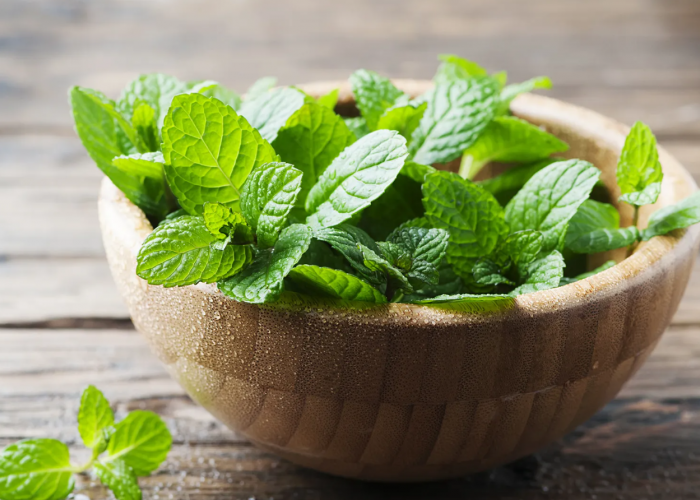 Bikin Dapur Makin Cantik Cuma Dengan Pajang 5 Tanaman Hias Ini!