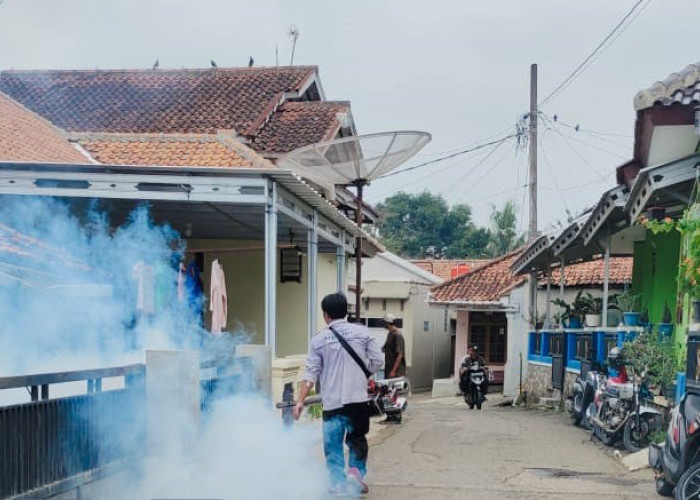 Bayi Meninggal karena DBD