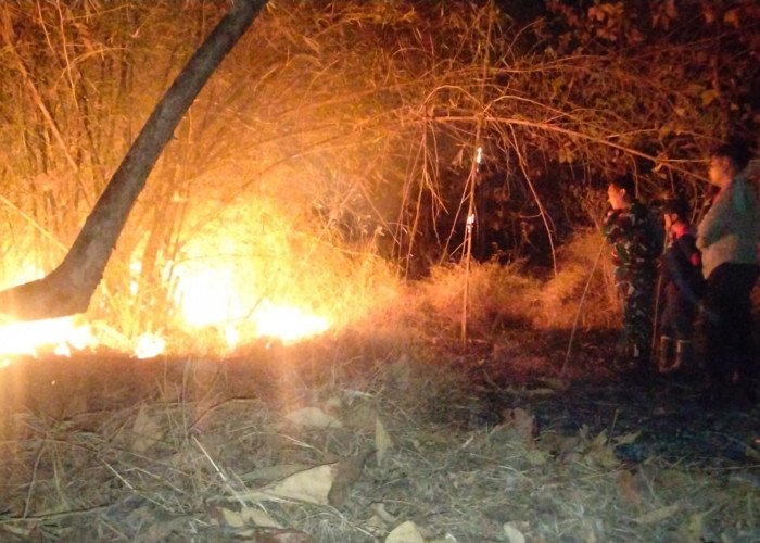 BPBD Ungkap Penyebab Karhutla di Majalengka, 50 Persen akibat Pembakaran Lahan