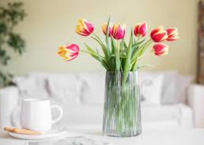 Rahasia Dekorasi Indoor Gak Monoton! Ini 6 Tanaman Hias Hidroponik yang Estetik & Minimalis di Dalam Ruangan