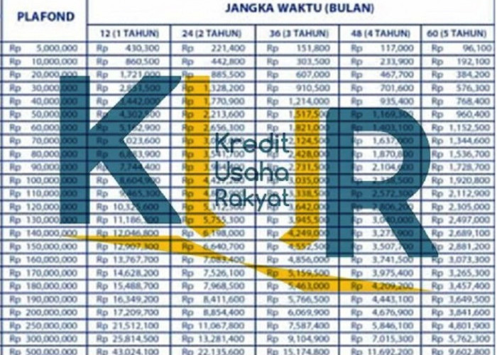Tabel KUR BRI 2025 Pinjaman 100 Juta, Berikut Detail Tenor dan Angsurannya Mulai dari 216 Ribu