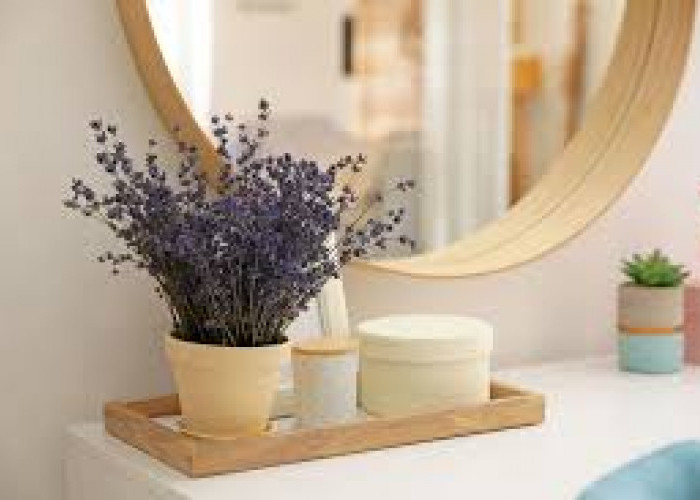 Tidur Lebih Nyenyak! Ini 7 Tanaman Hias untuk Kamar Tidur dengan Tampilan Estetik & Aroma Menenangkan