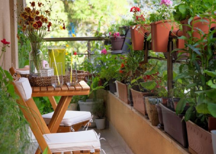 Rekomendasi 5 Tanaman Hias Pembawa Keberuntungan di Rumah Menurut Fengshui, Datangkan Kekayaan dan Rezeki