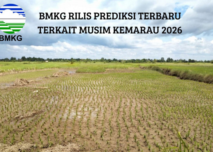 Kapan Mulai Musim Kemarau 2026? Ini Jawaban BMKG Tentang Jadwal, Wilayah Terdampak, dan Ancaman El Nino