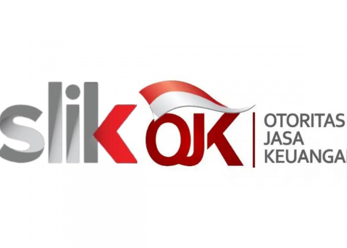 Cara Bersihkan SLIK OJK dengan Cepat dan Mudah, Ini Langkah yang Harus Dilakukan!