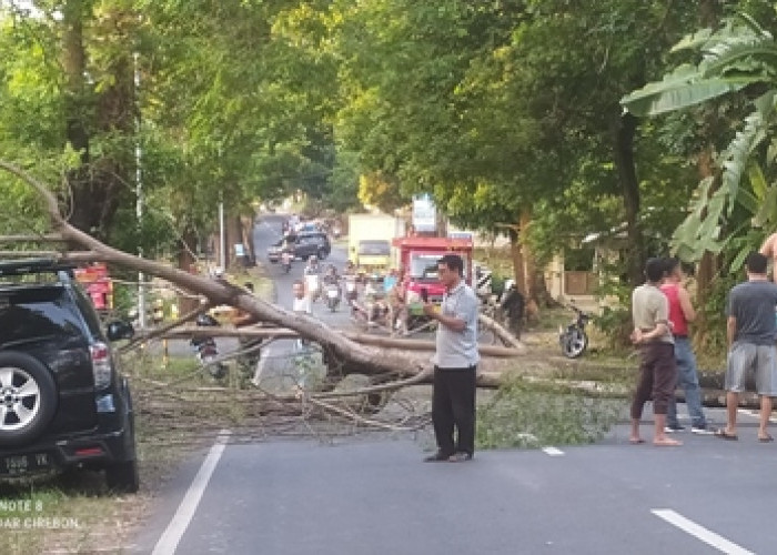 Waspadai Angin Kencang, 2022 tercatat ada 269 kasus bencana alam