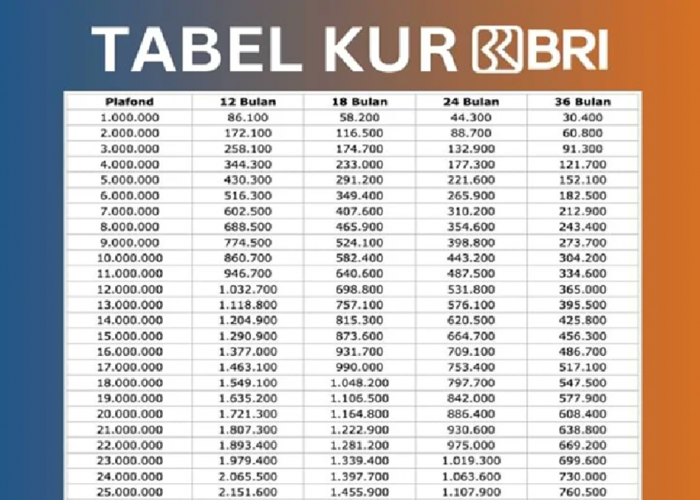 Syarat Pinjaman KUR BRI Plafon 25 Juta untuk Modal Usaha Mikro, Modal KTP dan Surat Keterangan Usaha