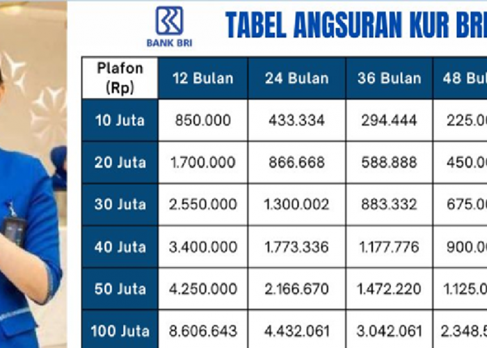 Pelaku UMKM Wajib Tahu! KUR BRI 2025 Tawarkan Pinjaman Modal Usaha Rp100 Juta Tanpa Agunan dan Bisa Online!