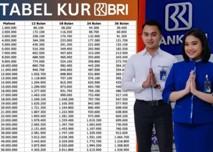Simulasi Rincian KUR BRI 2025, Berikut Plafon Terbarunya untuk UMKM yang Hendak Naik Kelas