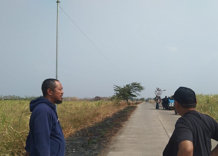 Tanaman Tebu 4 Hektare Diduga Dirusak, Penggarap di Majalengka Rugi Rp300 Juta