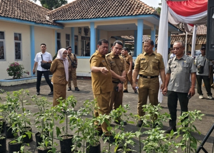 Bupati Eman Suherman Dorong Warga Majalengka Tanam Cabai untuk Tekan Inflasi