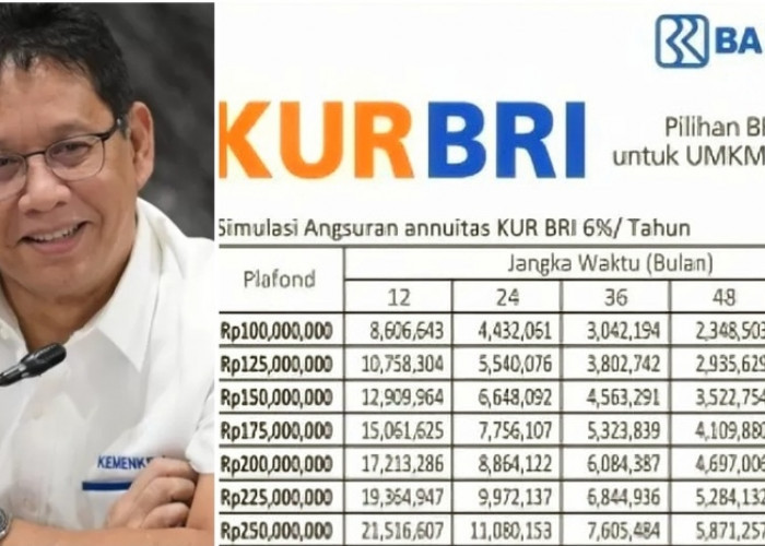 Efek Kebijakan 200 T Menkeu Purbaya, Bunga KUR BRI 2025 Angkanya Segini, Kira-kira Berapa Persen? 