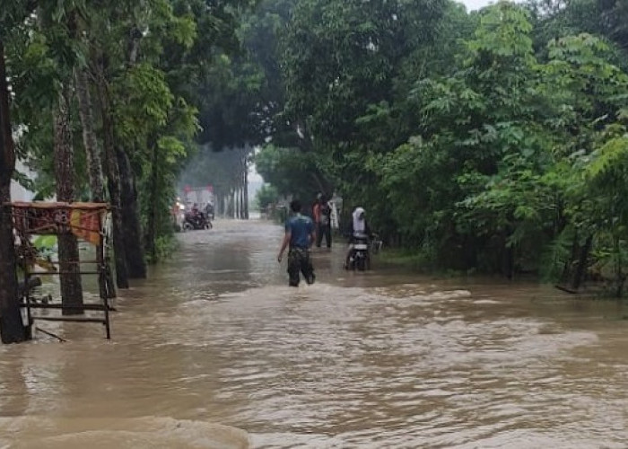 Waspada Puncak Musim Hujan, BPBD Catat 47 Kejadian Selama Januari 2025