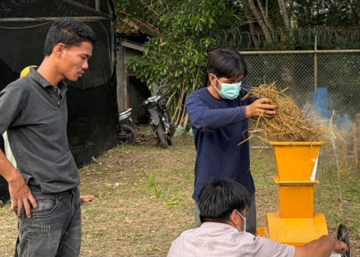 Petani Pengabuan Sulap Limbah Jerami Jadi Produk Ramah Lingkungan, Penghasilan Naik Drastis