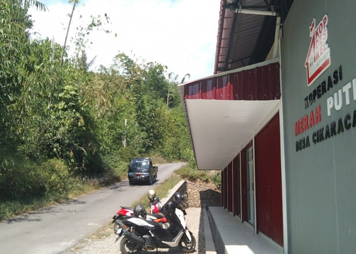 Viral Disebut di Tengah Hutan, Kades Tegaskan Lokasi KDMP Cikaracak Strategis di Jalur Utama Argapura–Sindang