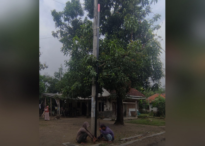 Pemasangan Tiang dan Kabel Internet di Desa Majasuka Dinilai Sembarangan, Warga Protes Tanpa Sosialisasi