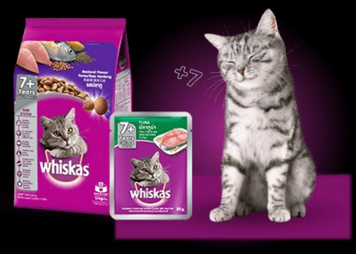 Rekomendasi Produk Whiskas Makanan Basah dan Kering Untuk Kucing