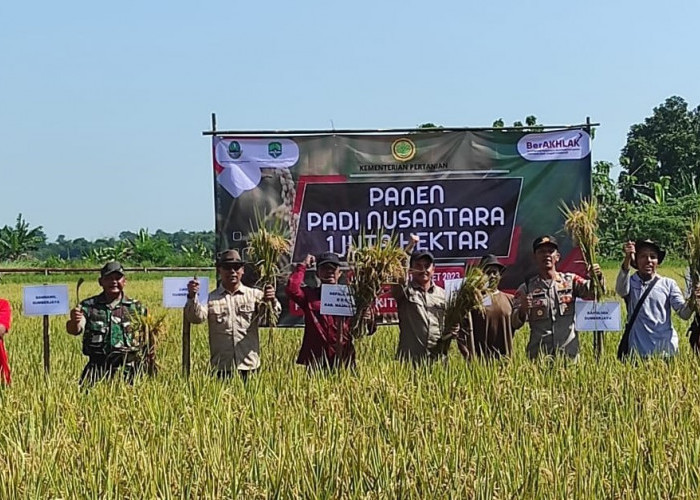 Pemkab Majalengka Sukseskan Program Satu Juta Hektare ‘Panen Raya Nusantara’