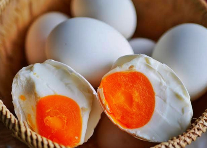 Telur Bebek Bisa Mencegah Anemia?! Berikut Beberapa Manfaatnya 