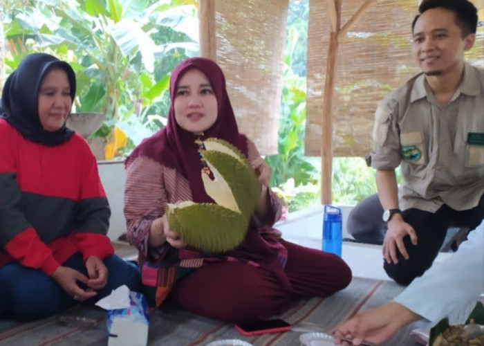 MENGENAL Durian Lokal Sinapeul Majalengka, Ada 8 Jenis, Coba Satu-satu Yuk