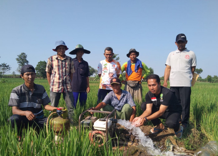 Petani Majalengka Hemat 87,5 Persen Biaya Pompa Air dengan LPG 3 Kg di Musim Kemarau
