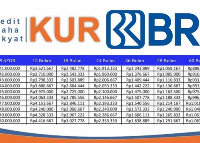 Butuh Modal Usaha? Simak Tabel Angsuran KUR BRI 2025 Pinjaman Rp10–50 Juta dengan Bunga Cuma 6 Persen