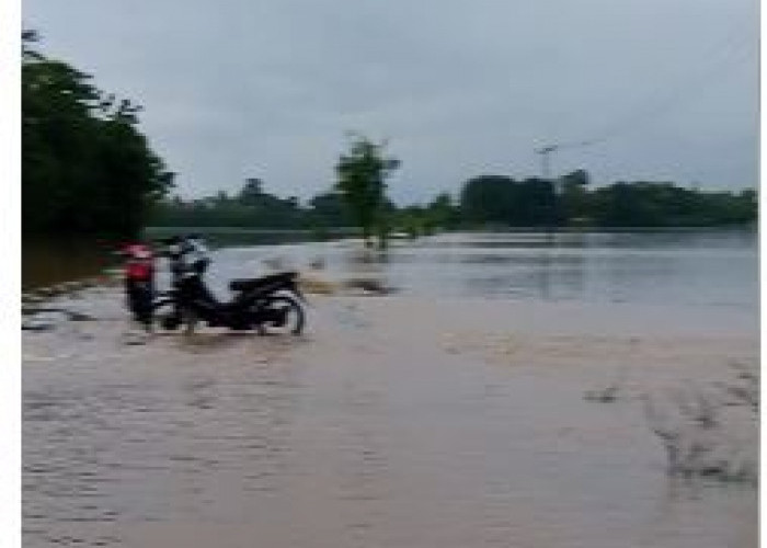 Banjir Rendam Dusun Cimuncang, Akses Warga Lumpuh dan Puluhan Hektare Sawah Gagal Panen