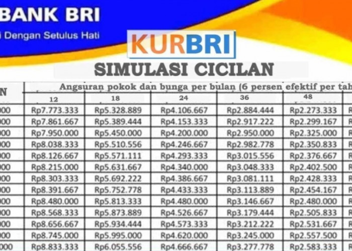 Angsuran Ringan dan Bisa Dicicil! Berikut Skema Terbaru KUR BRI Pinjaman 100 Juta Tahun 2025