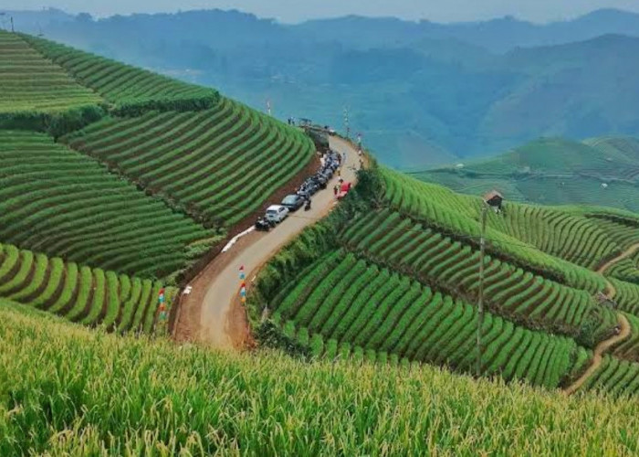 Prakiraan Cuaca di Majalengka Kamis 16 Mei 2024