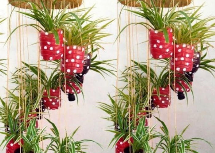 Tanaman Hidroponik Dalam Ruangan, Ini Rekomendasi Cara Modern Percantik Rumah Minimalis Tanpa Ribet