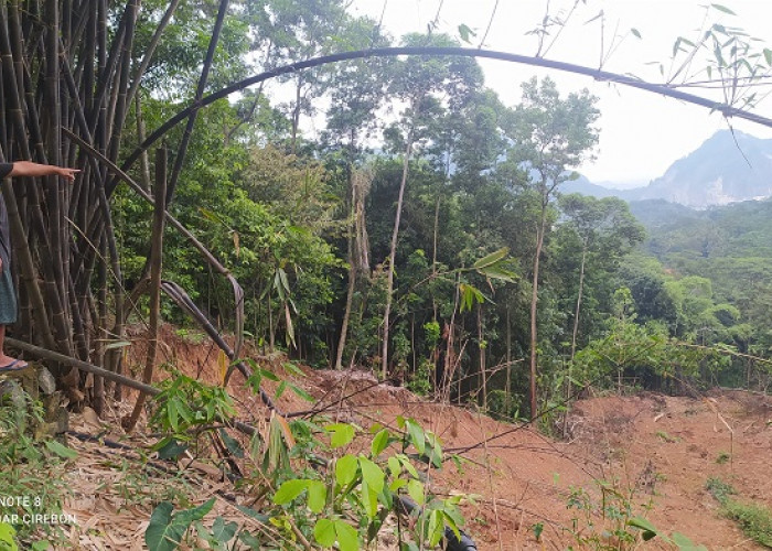 Warga Cemas, Tebing 30 Meter Longsor di Belakang Permukiman  