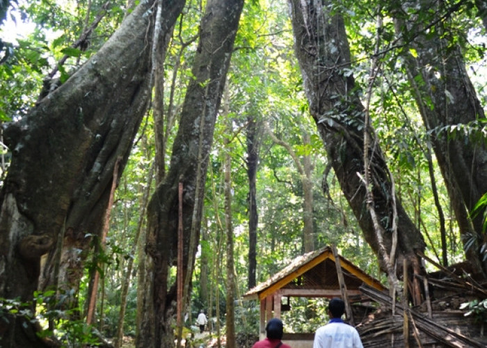 Wisata Petilasan Situ Sangiang, Ngabuburit sambil Mengenal Sunan Parung