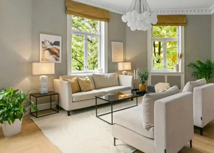 8 Tanaman Hias Compact untuk Sudut Rumah, Mudah Dirawat, Cantik, Menyegarkan dan Membawa Keberuntungan