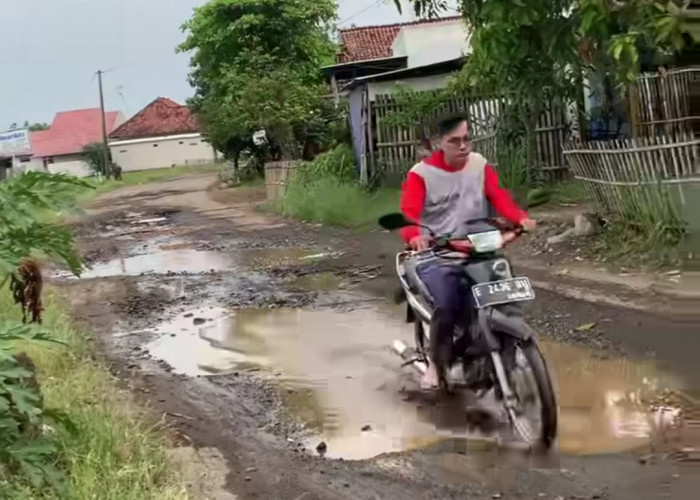 Mirip Bima Lampung, Dausterus Kritisi Jalan Rusak di Indramayu