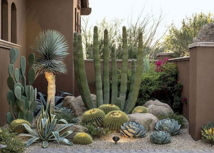 Bukan Sekedar Hiasan! Ini 5 Tanaman Hias Pengusir Energi Negatif Depan Rumah, Wajib Punya Salah Satunya