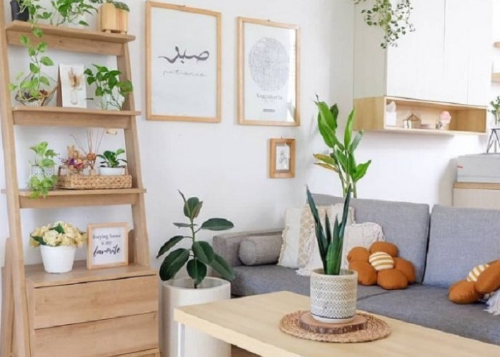 Bikin Napas Lebih Lega! Ini Pilihan Tanaman Hias Penyerap Polusi dalam Ruangan yang Cocok untuk Hunian Minimal