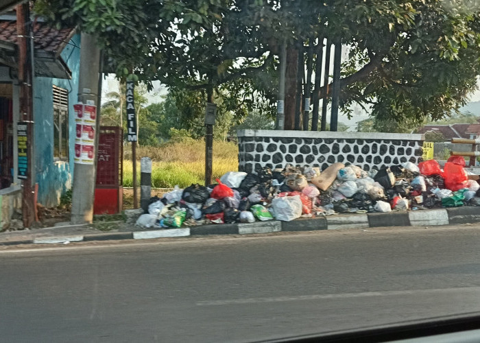 Waduh! Jalan Utama Mirip TPA, Banyak Tumpukan Sampah