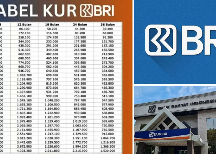 Cicilan Ringan Pinjaman Aman Menggunakan Tabel Angsuran KUR BRI Pinjaman 50 Juta Ini, Lengkap Dengan Syarat!