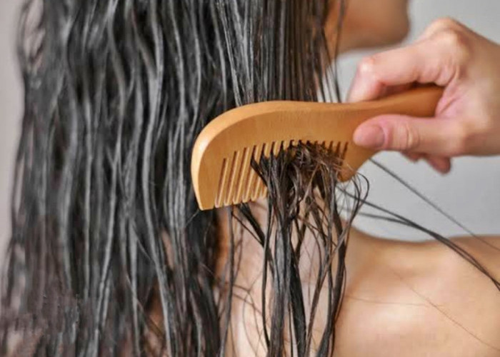 Ingin Rambut Tumbuh Lebih Cepat? Berikut Makanan Yang Dapat Mempercepat Pertumbuhan Rambut 