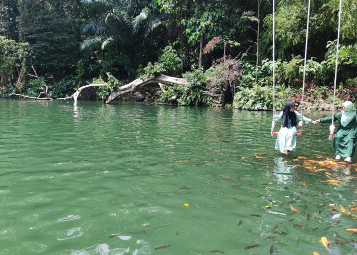 SEGAR! Ada Wisata Air Majalengka Dekat Tol Cisumdawu Loh, Bisa Foto dengan Ikan