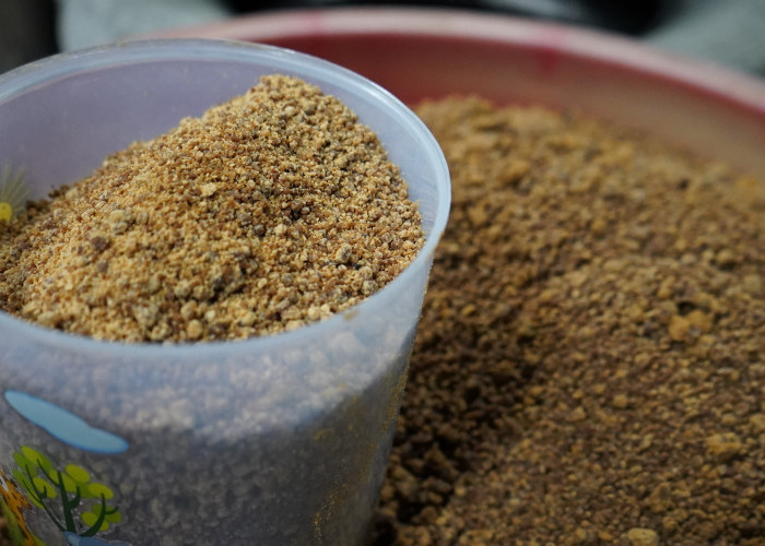 Lewat Pendampingan Gula Semut, Reforma Agraria Bangkitkan Ekonomi Desa Hargorejo Kulon Progo