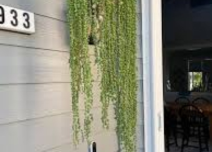 Biar Lebih Menarik! Ini 6 Tanaman Hias Pot Gantung untuk Dekorasi Outdoor, Tahan Panas & Percantik Teras Rumah