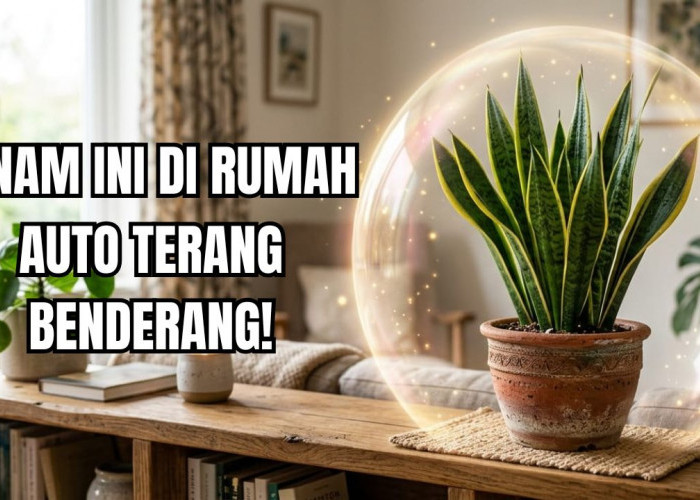 Dijamin Rumah Makin Terang Dengan Merawat 3 Tanaman Hias Pengusir Aura Negatif 