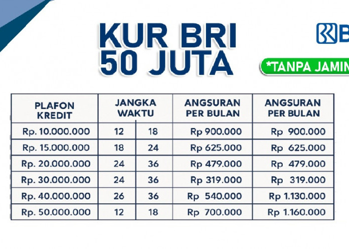 Pas untuk UMKM yang Ingin Mencari Modal Usaha, Berikut Rincian KUR BRI Pinjaman 50 Juta Lengkap dengan Tenor