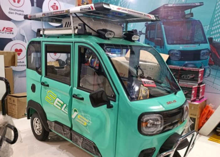 Hemat Biaya, Stabil dan Multifungsi, Selis Bromo Motor Listrik Roda Tiga Kabin Luas, Beban Maksimal 300 Kg
