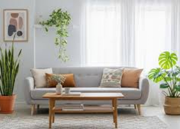 Tak Hanya Estetik, Ini 7 Tanaman Hias Pembawa Rezeki untuk Ruang Tamu, Mudah Dirawat Ideal untuk Dekorasi