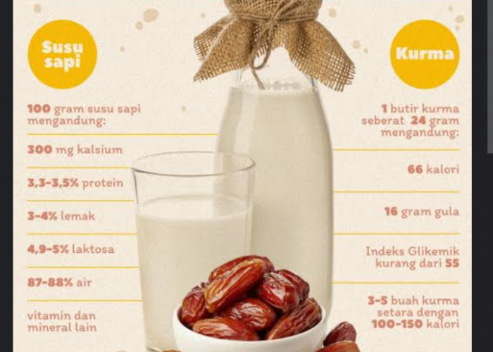 4 Manfaat Susu Kurma Untuk Kesehatan 