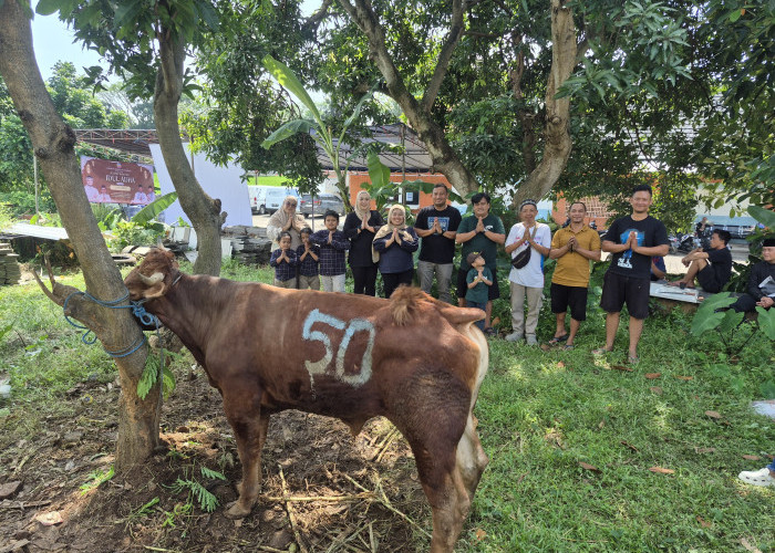 Sahabat Yoshua Tebar Kepedulian, Sapi Kurban 400 Kg Disembelih di Majalengka
