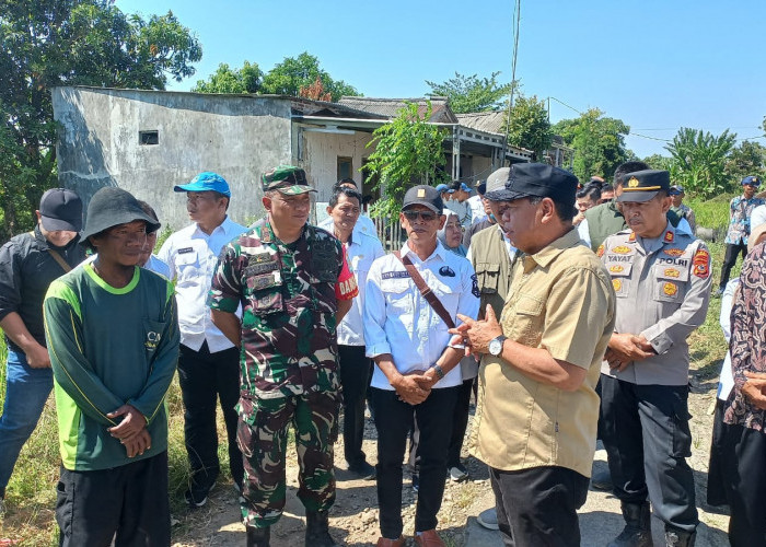 Kekeringan Melanda Panyingkiran, 72 Hektare Sawah Gagal Panen
