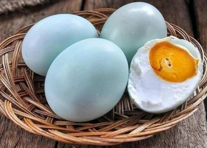 Telur Asin Khas Brebes, Hj. Fatma Memiliki Kualitas yang Tinggi dan Rasanya yang Lezat